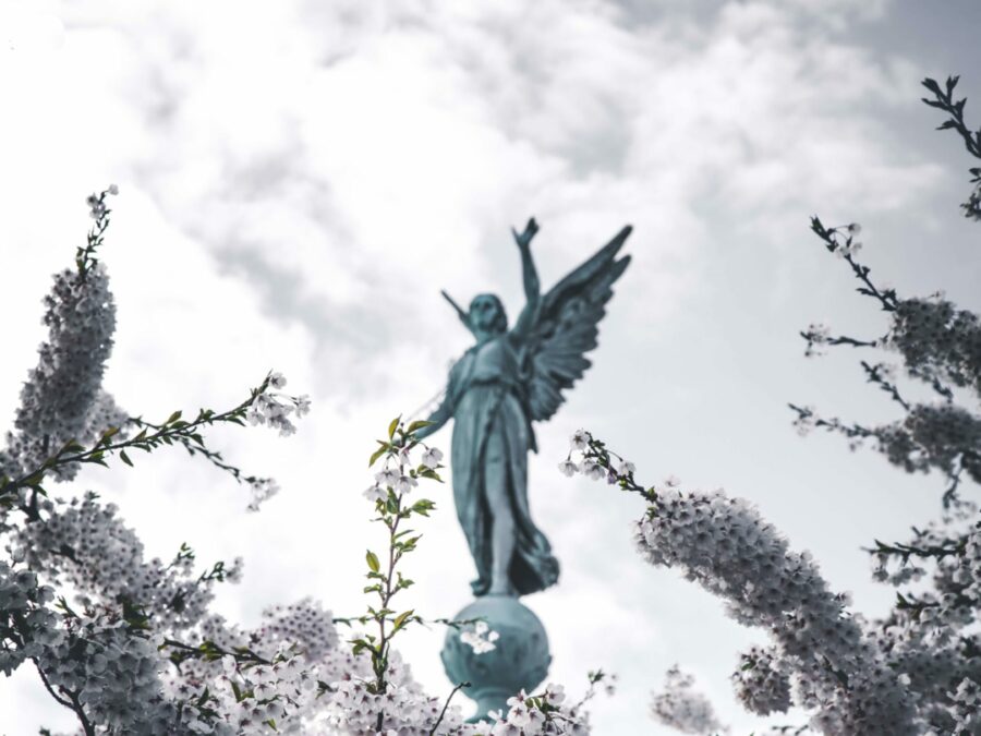 Business Angel Beitragsbild - Engel Statue